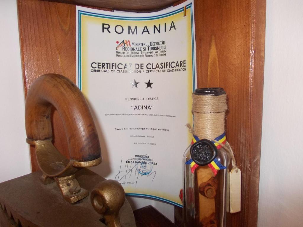 Pensiunea Adina Cavnic Exteriér fotografie